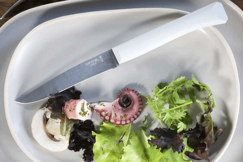Coltello da tavola Opinel Bon Appétit + lama in acciaio inox da 11 cm con manico in polimero cloud