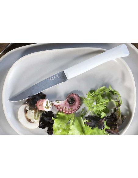 Opinel Bon Appétit table knife + 11cm stainless steel blade cloud polymer handle
