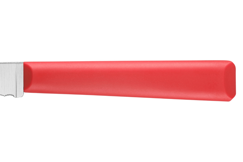 Opinel Les Essentiels + n°313 spelucchino 10 cm lama seghettata manico in polimero rosso