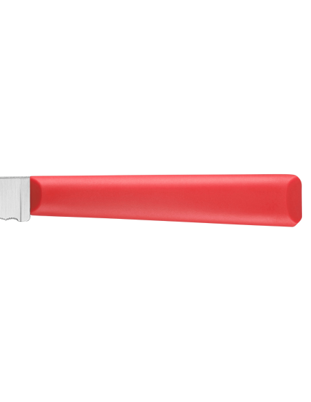 Opinel Les Essentiels + n°313 urtekniv 10 cm savtakket blad rødt polymerhåndtag