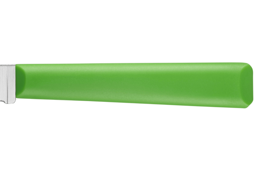 Opinel Les Essentiels + n°313 urtekniv 10 cm savtakket blad grønt polymerhåndtag