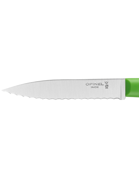 Opinel Les Essentiels + n°313 spelucchino 10 cm lama seghettata manico in polimero verde