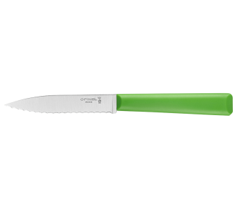 Opinel Les Essentiels + n°313 schilmesje 10cm gekarteld lemmet groen polymeer handvat