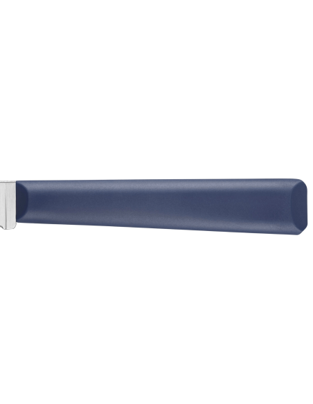 Opinel Les Essentiels + n°313 paring knife 10cm serrated blade blue polymer handle