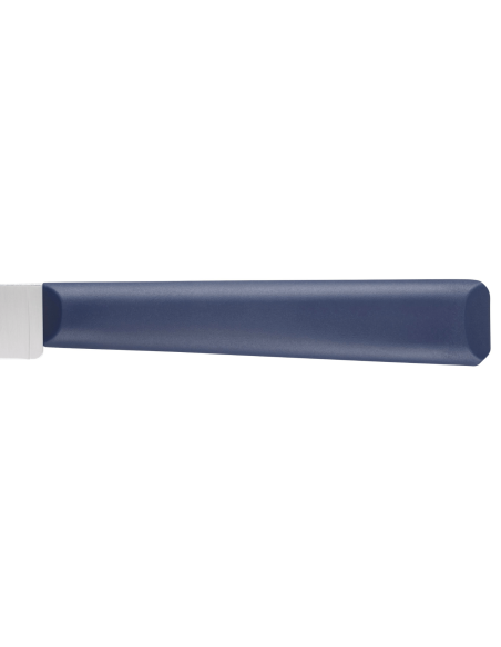 Opinel Les Essentiels + n°312 schilmesje 10cm lemmet blauw polymeer handvat