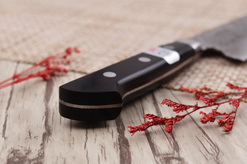 Fujiwara Maboroshi 21cm sujihiki japanese handmade knife