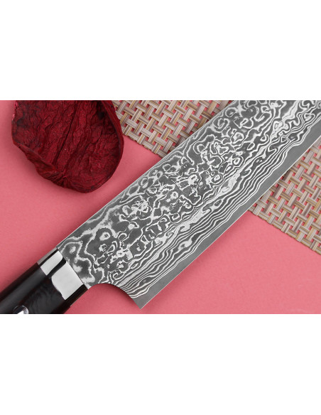 Cuchillo de chef japonés Takeshi Saji R2 Damas Mosaïque 21cm
