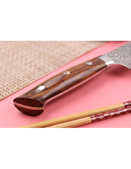 Faca japonesa sujihiki Takeshi Saji R2 Damascus Mosaic 27cm