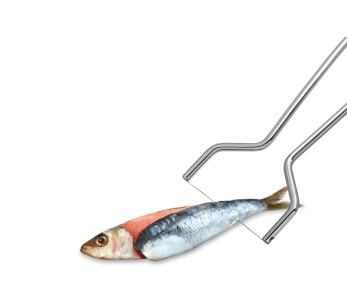 Triángulo de fileteado de acero inoxidable para sardinas y anchoas 2