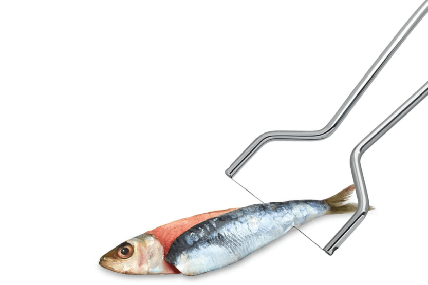 Fileteur à sardines Triangle en acier inoxydable (ruostumattomasta teräksestä)