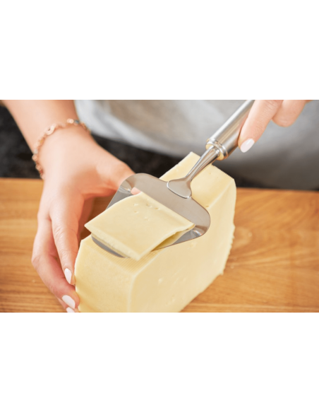 Raspador para queijo em aço inoxidável Rosle 24cm