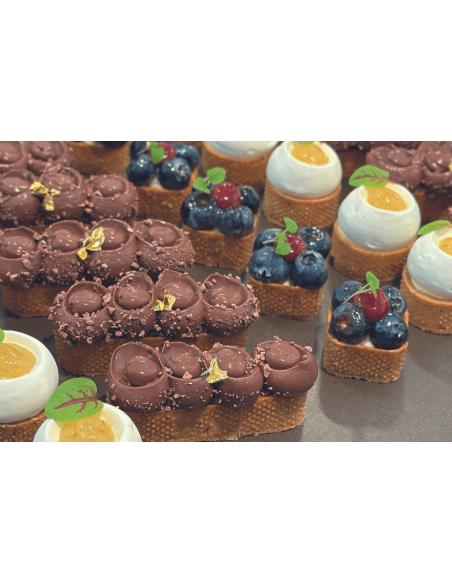 Mallard Ferrière mini pyöreä rei'itetty muotti ruostumattomasta teräksestä valmistettuja petit fours -leivoksia varten.