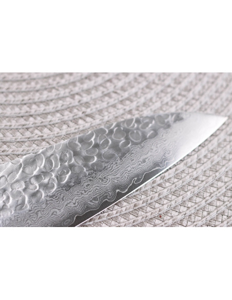 Coltello da cuoco giapponese Sakai Takayuki Damasco occidentale a 33 strati da 21 cm