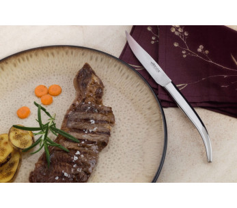 Set van 4 Arcos Steel-Force steakmessen, geheel van roestvrij staal, 11 cm getand lemmet 2