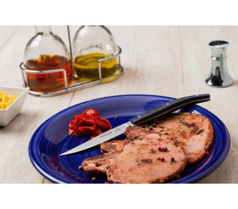 Arcos The Origin Steakmesserset bestehend aus 4 Steakmessern mit Micarta-Griff blau 2