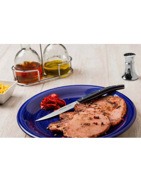Set van 4 Arcos The Origin steakmessen blauw micarta handvat