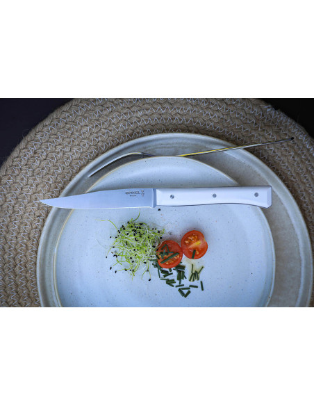 Set med 4 Opinel Facette bordsknivar VittEr® vitt skaft 11cm slätt blad i rostfritt stål