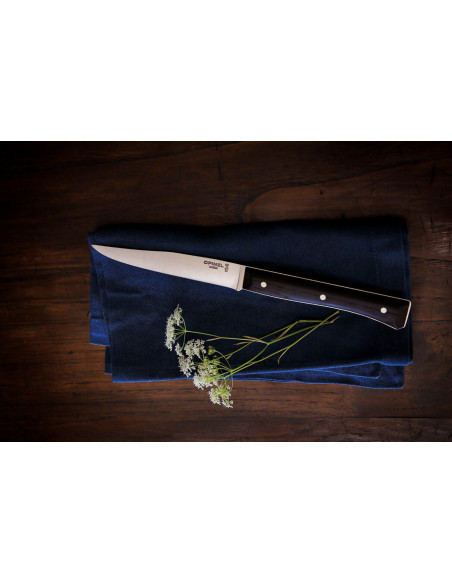 Set mit 4 Tafelmessern Opinel Facette Griff aus dunkler Esche Klinge 11cm Edelstahl glatt