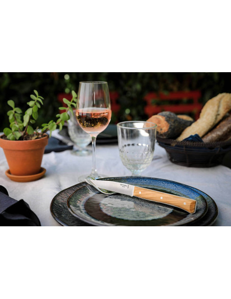 Set van 4 Opinel Facette tafelmessen olijfhouten handvat 11cm glad roestvrijstalen lemmet