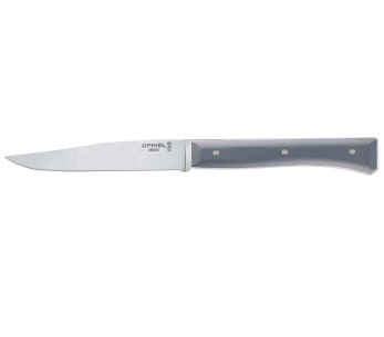 Pakkauksessa 4 Opinel Facette pöytäveitsen sarja VittEr® liuskekivikahva 11cm ruostumattomasta teräksestä valmistettu mikrohamma 2