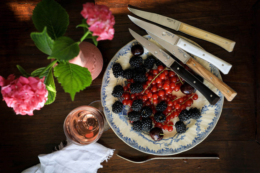 Sett med 4 Opinel Facette Panaché bordkniver, 11 cm glatt blad i rustfritt stål
