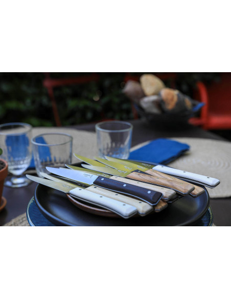 Conjunto de 4 facas de mesa Opinel Facette Panaché, lâmina de aço inoxidável lisa de 11 cm