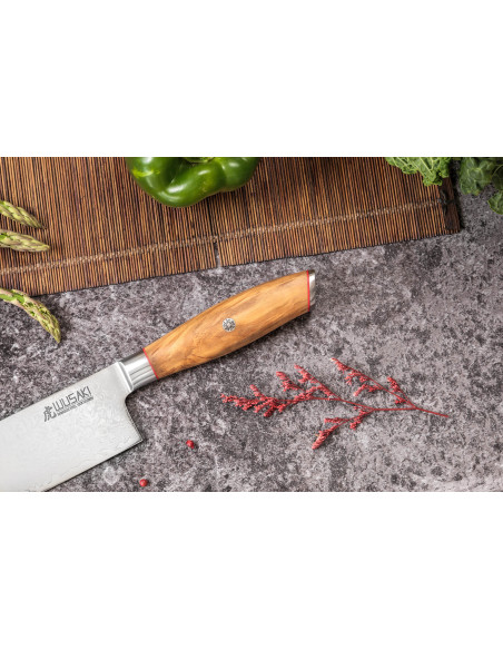 nakiri veitsi 17cm Wusaki Fujiko 10CR damas