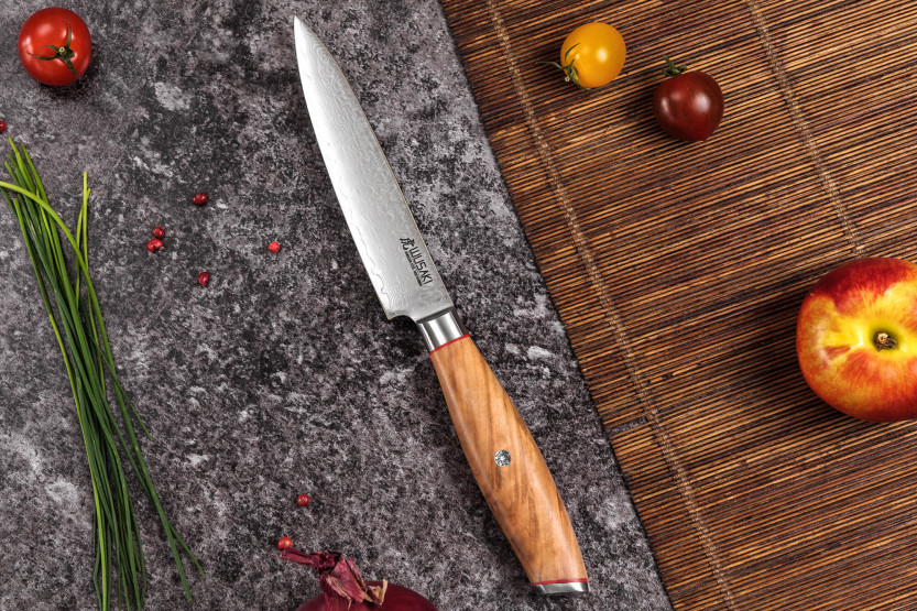 coltello universale 12 cm Wusaki Fujiko 10CR