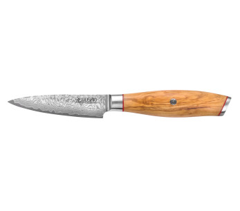 Wusaki Fujiko 10CR Damaskus 9cm skalkniv