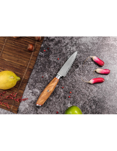 Juego de 2 cuchillos Wusaki Fujiko 10CR damasco Chef + Puntilla