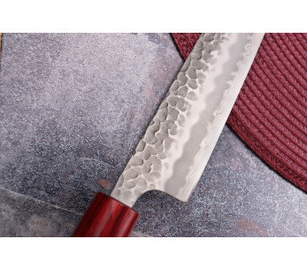 Tsunehisa Aogami Superhamrad 27 cm japansk sujihikikniv 2