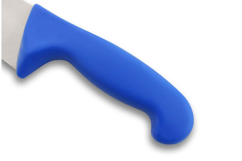 DEGLON coltello da pesce 42 cm lama grande denti manico blu PP