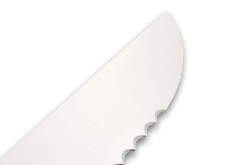 DEGLON fish knife 42cm blade large teeth blue PP handle