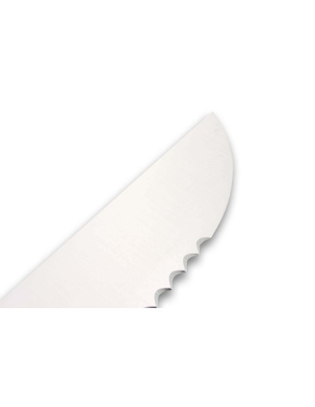 DEGLON fish knife 42cm blade large teeth blue PP handle