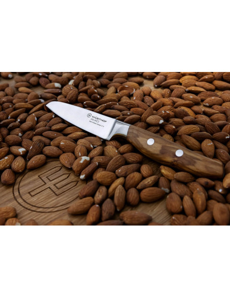 Wüsthof Amici Spickmesser geschmiedet 9cm