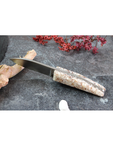 Charles Canon oyster knife with scallop handle made in France + wooden case