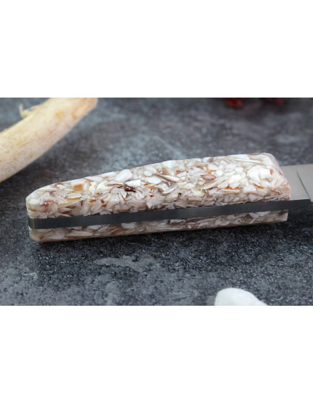 Charles Canon oyster knife with scallop handle made in France + wooden case