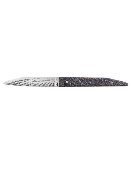 Klappmesser Charles Canon Lavandiolle Griff aus Lavendel aus der Provence hergestellt in Frankreich + Holzkiste