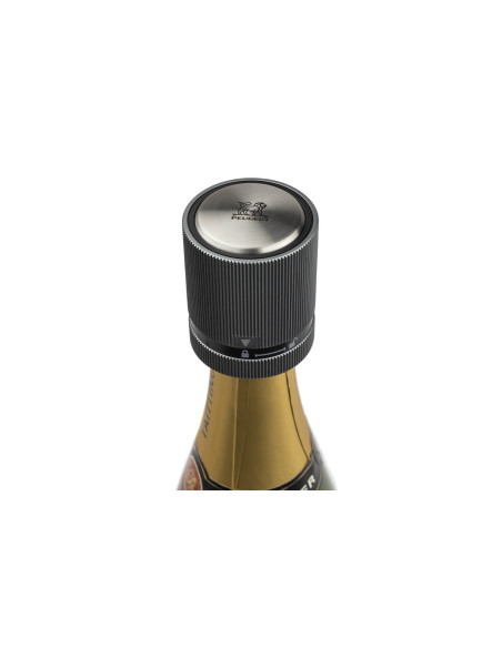 Peugeot Line Carbone champagneprop