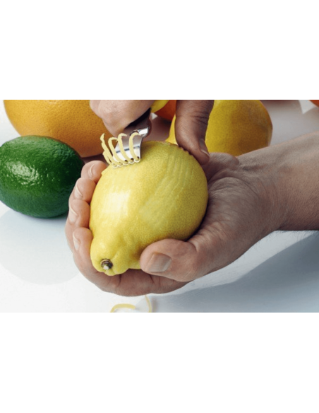 Zesty 4 en 1 mango multifunción de polipropileno con 2 fundas protectoras