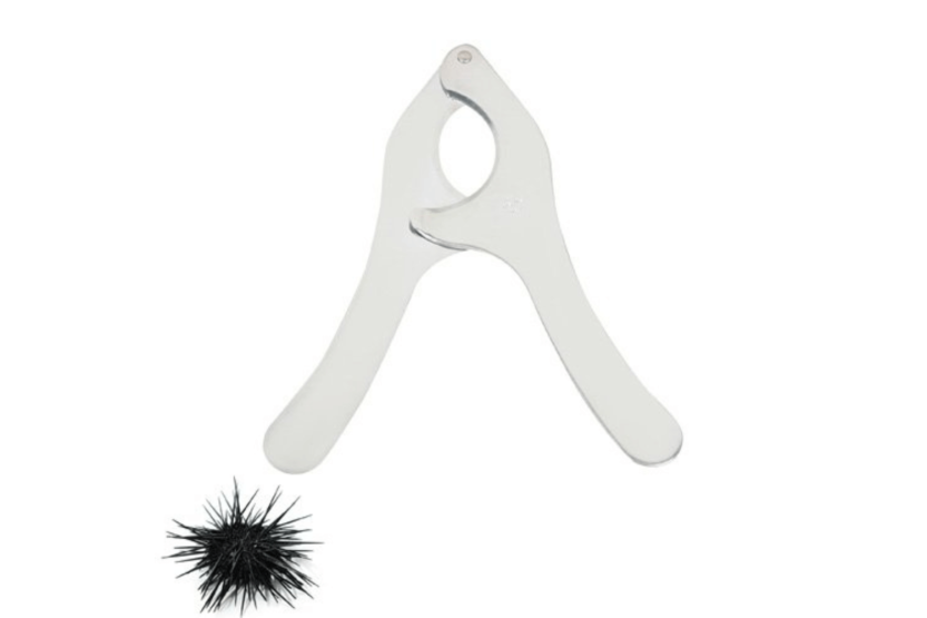 Chevalier Diffusion - Taglierina per ricci di mare in acciaio inox