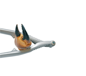 Pinze per molluschi in alluminio reversibili 2