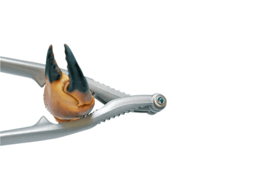 Reversible aluminum shellfish tongs