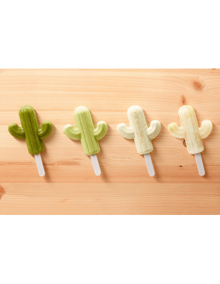 Platinum silicone Lékué ice cream mould - Cactus shape