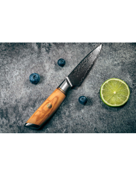 Fukito Olive Damaskus 14Cr 9cm skalkniv