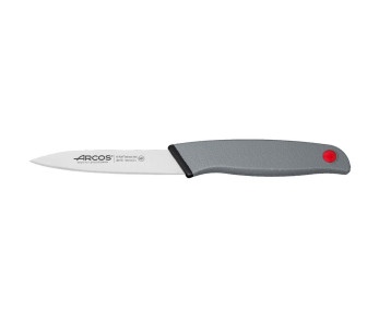 Professionell skalkniv Arcos Colour Prof 10cm