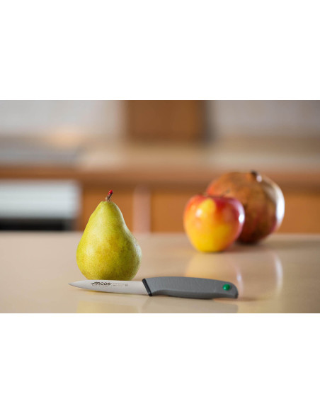 Professioneel schilmes Arcos Colour Prof 10cm