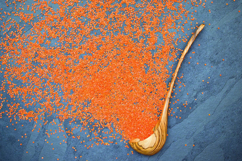 Concha artesanal de madeira de oliveira Bérard 14cl com alça 36cm