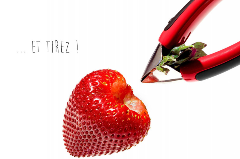Cortador de fresas OXO rojo con pinzas de acero inoxidable