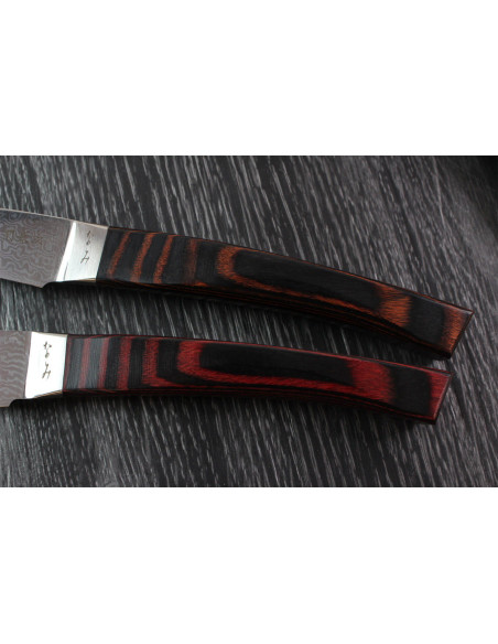 Set van 4 Kanetsugu Nami Japanse steakmessen in doos, gedamasfalteerd in 4 verschillende kleuren